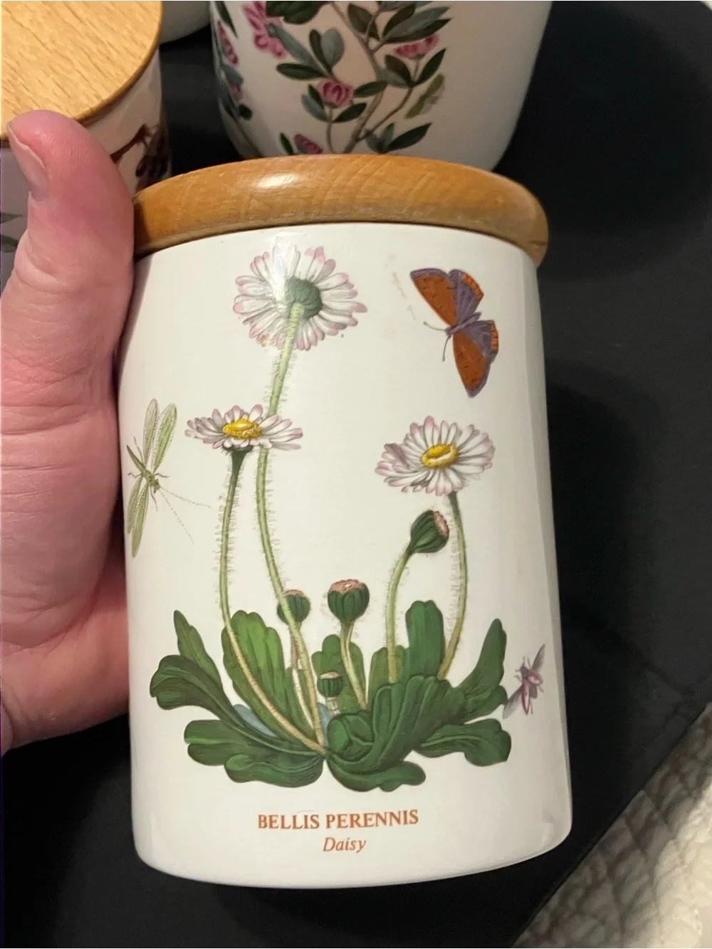 5 Portmeirion Botanic Garden Kitchen Storage Jars Canisters Lids Old Mark
